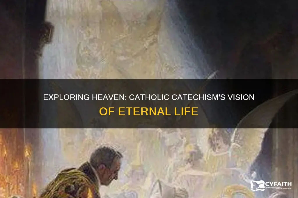 what is heaven like catholic catechism