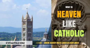 Exploring the Catholic Vision of Heaven: Joy, Eternity, and Divine Union