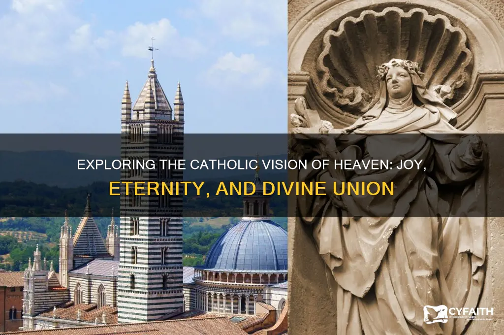 what is heaven like catholic