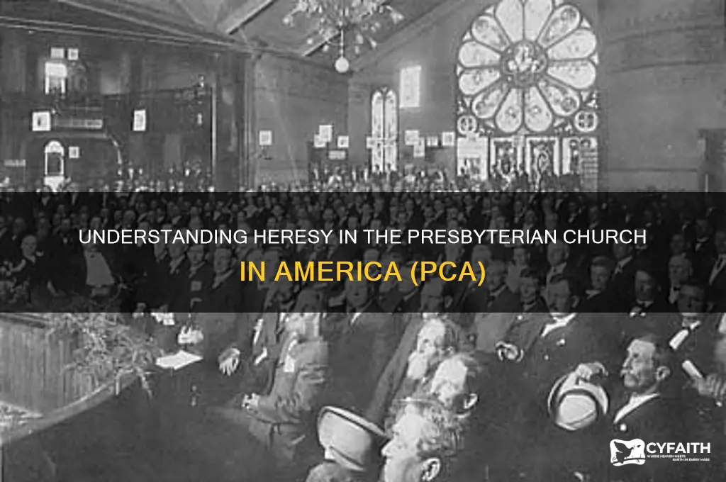 what is heresy presbyterian pca