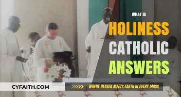 Understanding Holiness: Catholic Insights on Living a Sanctified Life