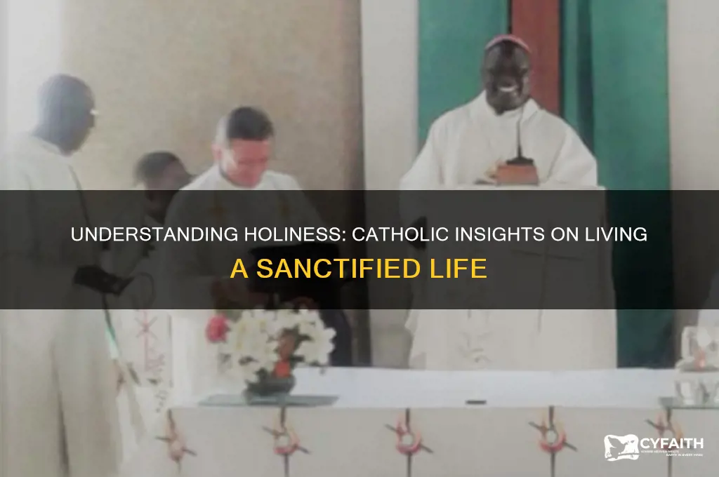 what is holiness catholic answers