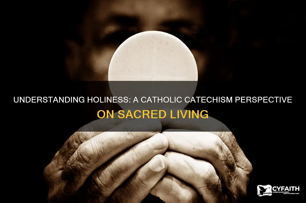 what is holiness catholic catechism