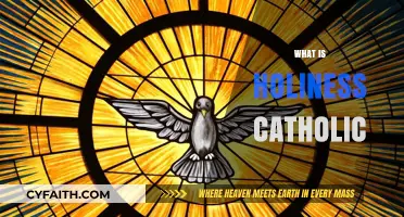 Understanding Holiness in the Catholic Faith: A Comprehensive Guide