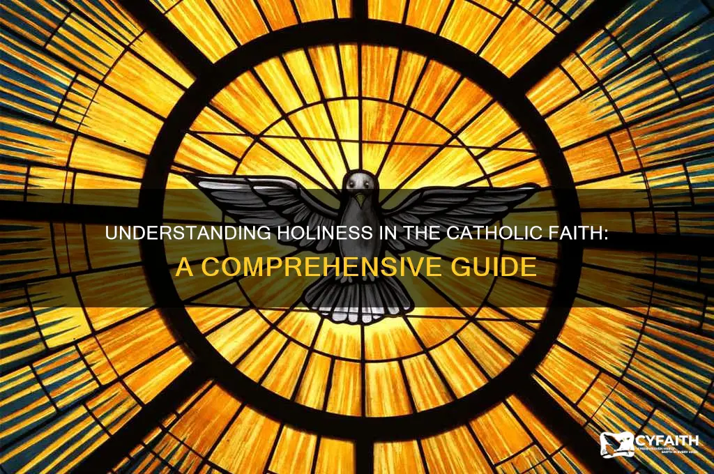 what is holiness catholic