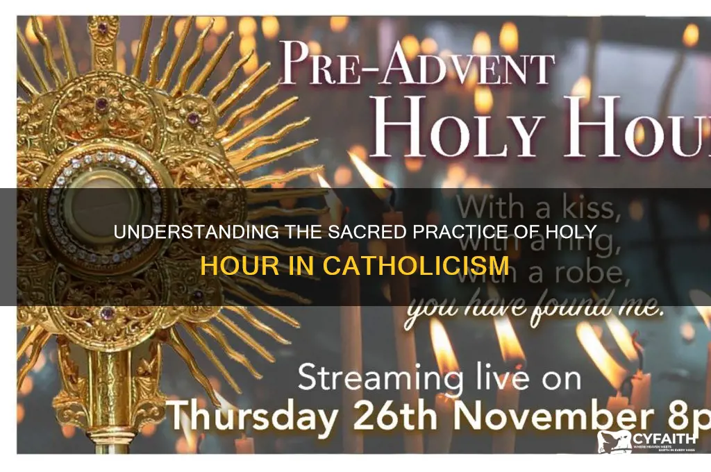 what is holy hour catholic
