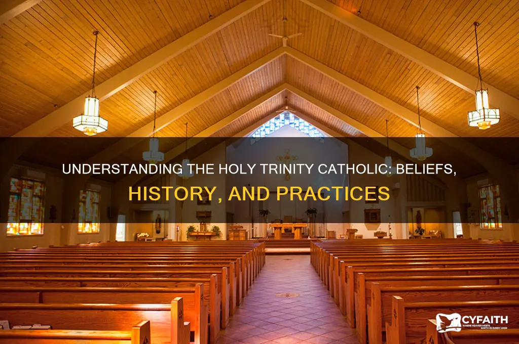 what is holy trinity catholic