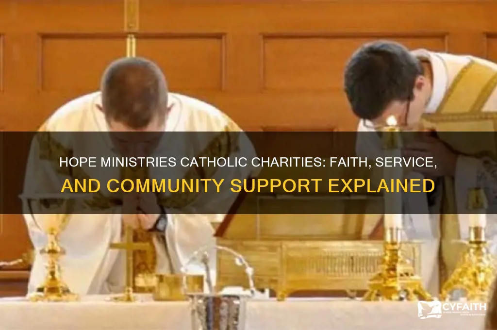 what is hope ministries catholic charities