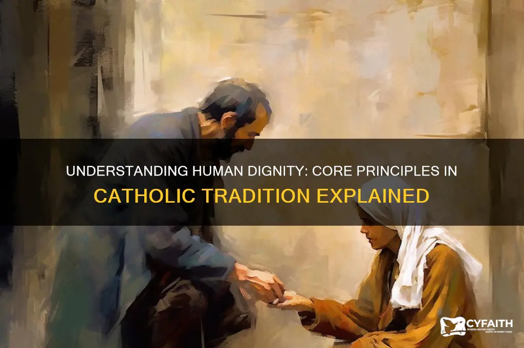 what is human dignity in the catholic tradition