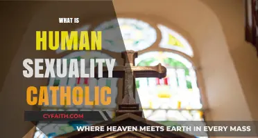 Understanding Human Sexuality Through the Lens of Catholic Teachings