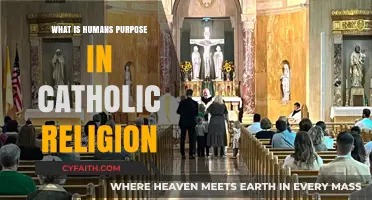 Understanding Humanity's Divine Role in Catholic Faith and Purpose