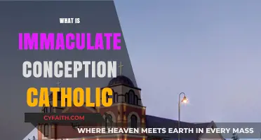 Understanding Immaculate Conception: A Core Catholic Doctrine Explained