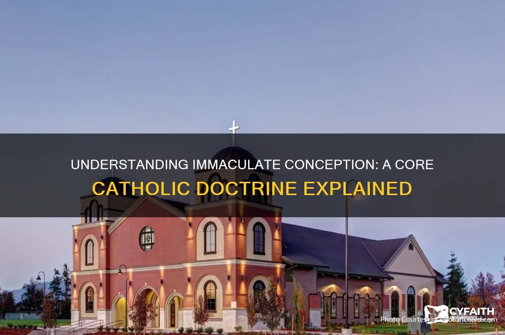 what is immaculate conception catholic