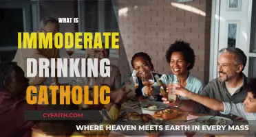 Understanding Immoderate Drinking: A Catholic Perspective on Alcohol Consumption