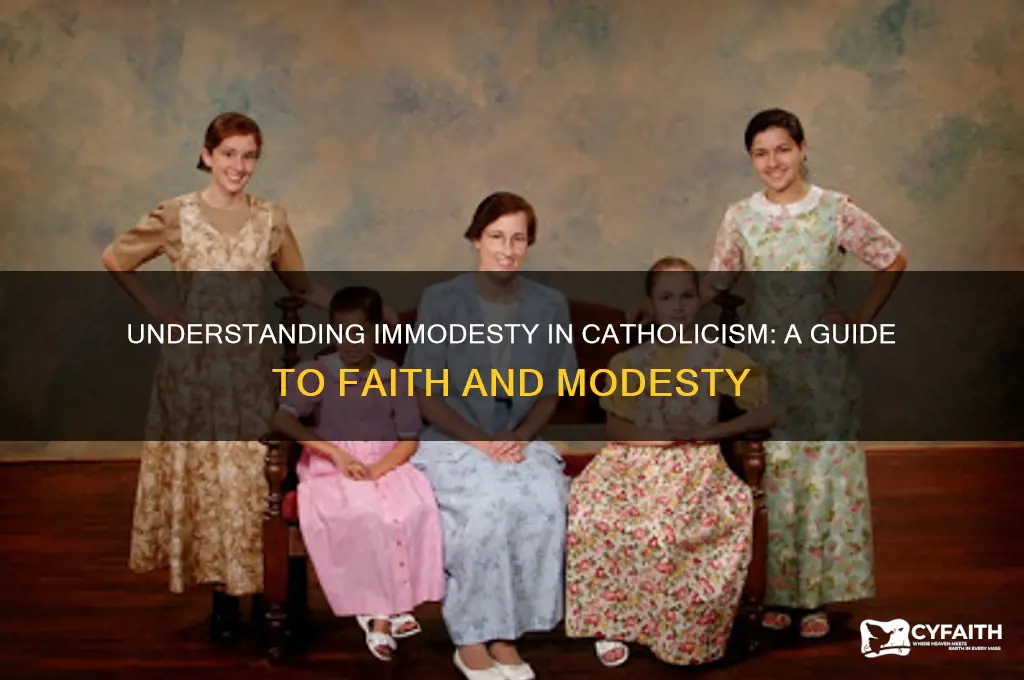 what is immodest catholic