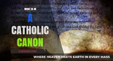 Understanding the Catholic Canon: Sacred Texts and Their Significance
