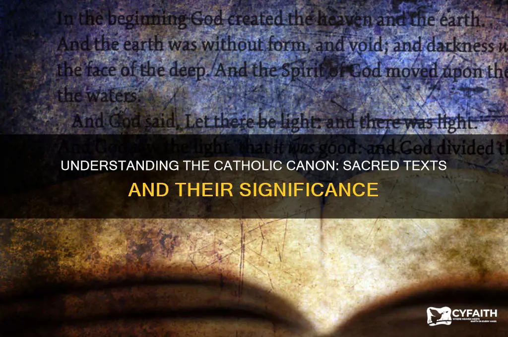what is in a catholic canon