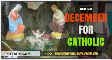 December's Catholic Celebrations: Advent, Christmas, and Holy Traditions Explained