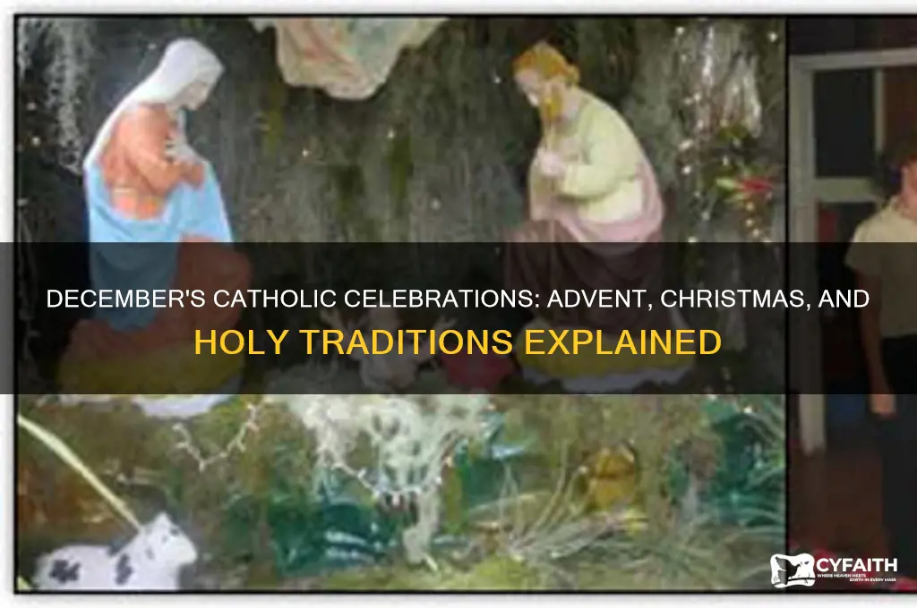 what is in december for catholic