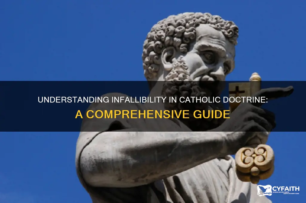 what is infallible catholic