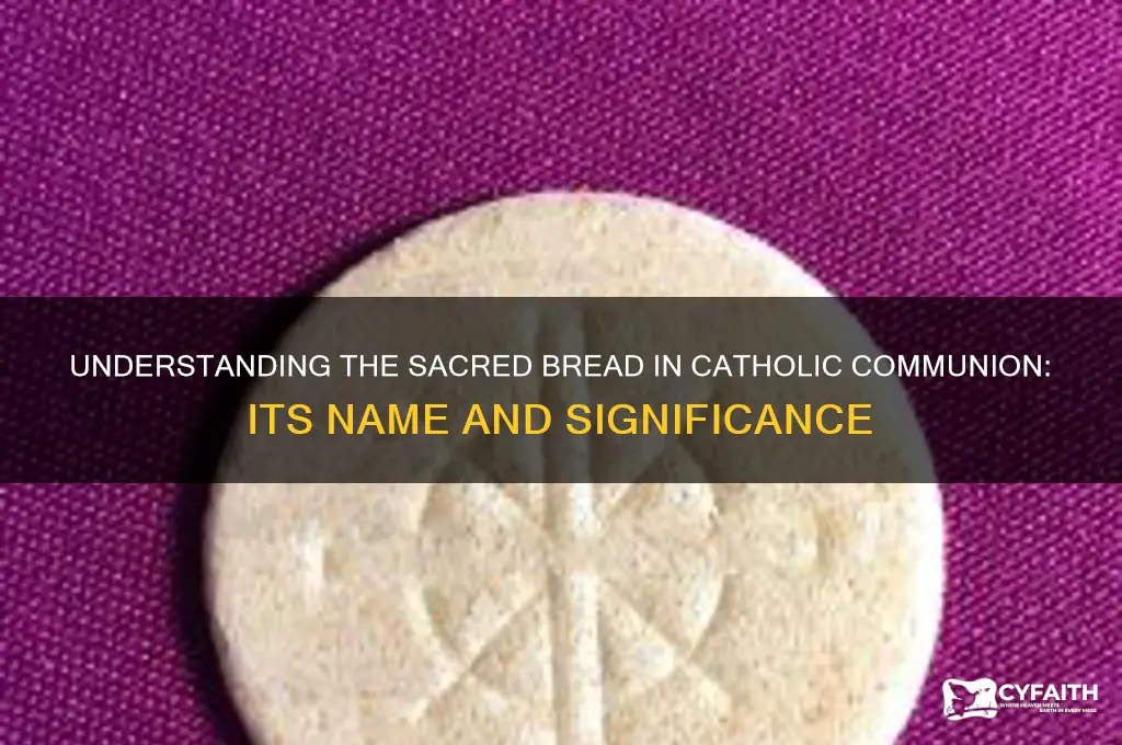 what is it called bread at catholic communion