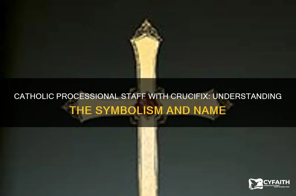what is it called catholics carry staff with cruxifix