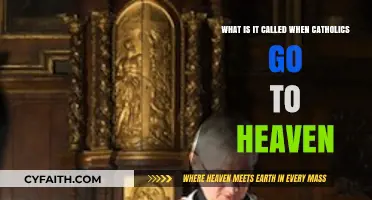 Catholic Beliefs: Understanding the Concept of Heaven and Salvation