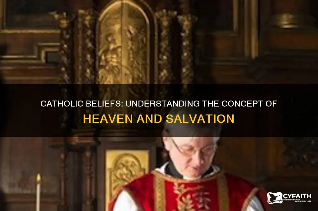 what is it called when catholics go to heaven