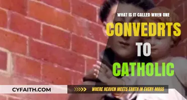 Understanding Catholic Conversion: The Process and Meaning of Becoming Catholic
