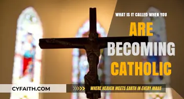 Becoming Catholic: Understanding the Rite of Christian Initiation Process