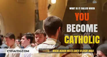 Becoming Catholic: Understanding the Process of Initiation into the Faith