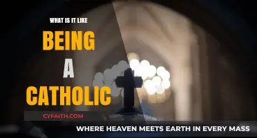 Living the Faith: A Personal Journey as a Catholic