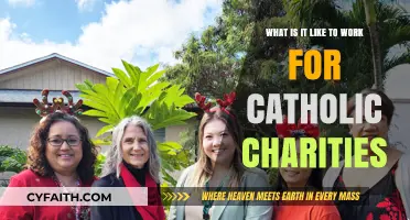 Working for Catholic Charities: A Mission-Driven Career Experience