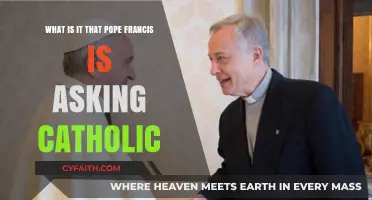 Pope Francis' Call to Catholics: Understanding His Urgent Message and Mission