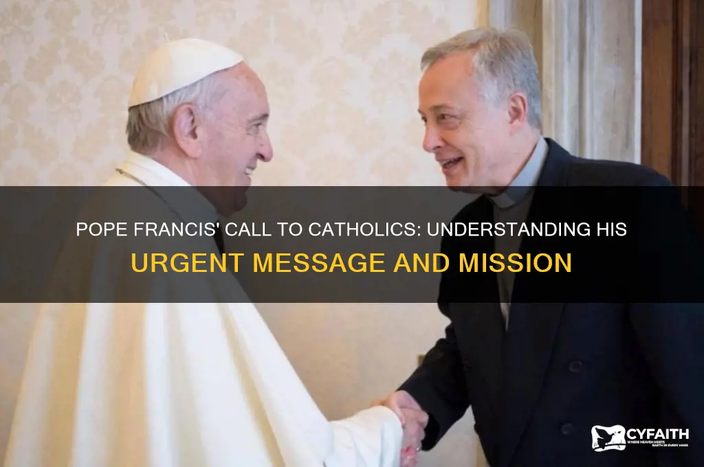 what is it that pope francis is asking catholic