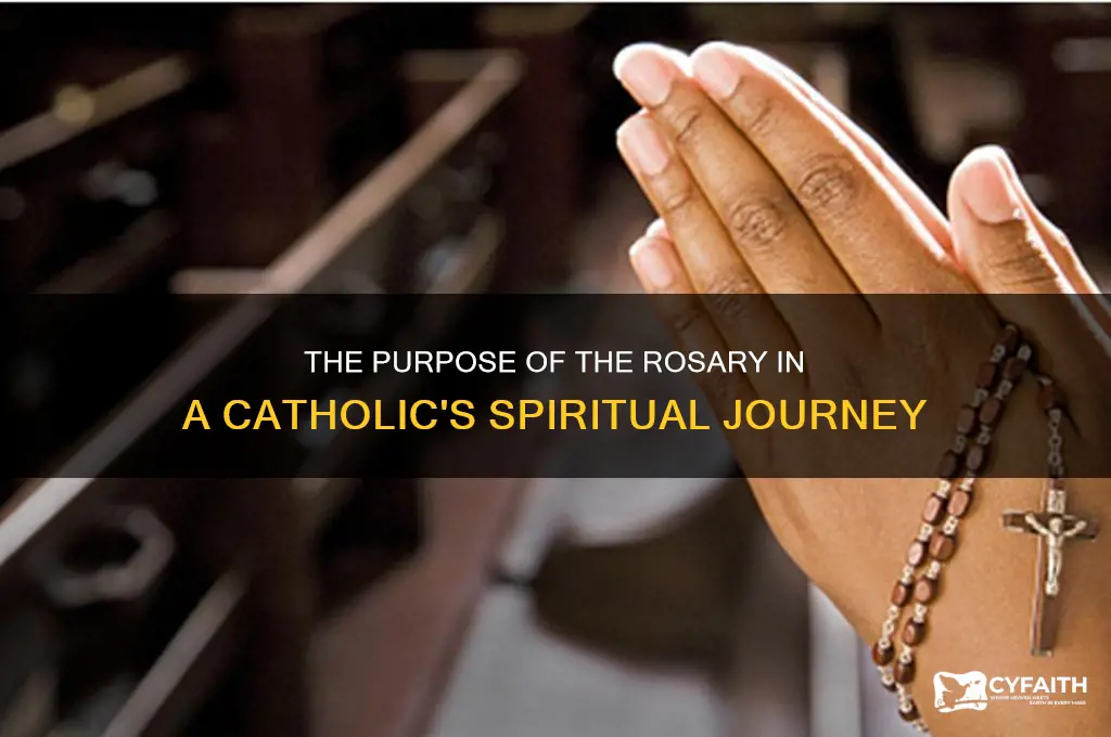 what is its purpose in the life of a catholic