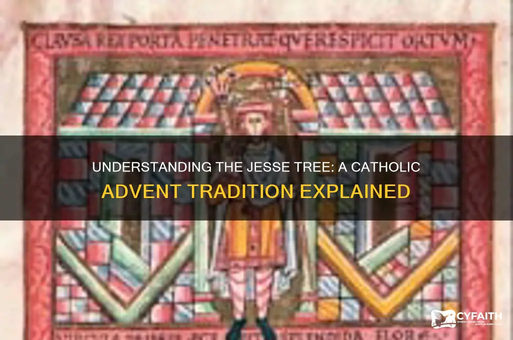 what is jesse tree catholic