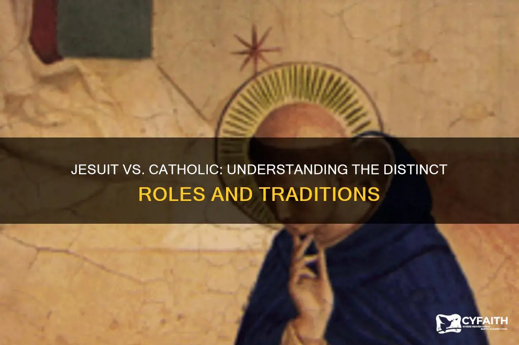 what is jesuit vs catholic