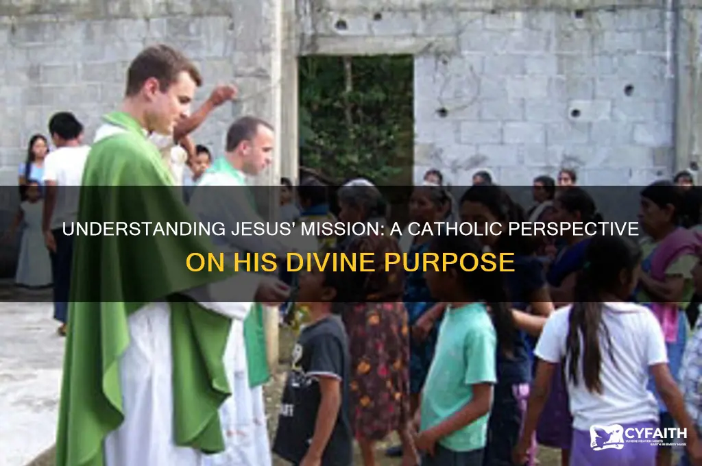 what is jesus mission catholic response