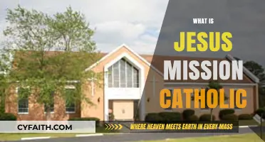 Understanding Jesus' Mission in the Catholic Faith: A Comprehensive Guide