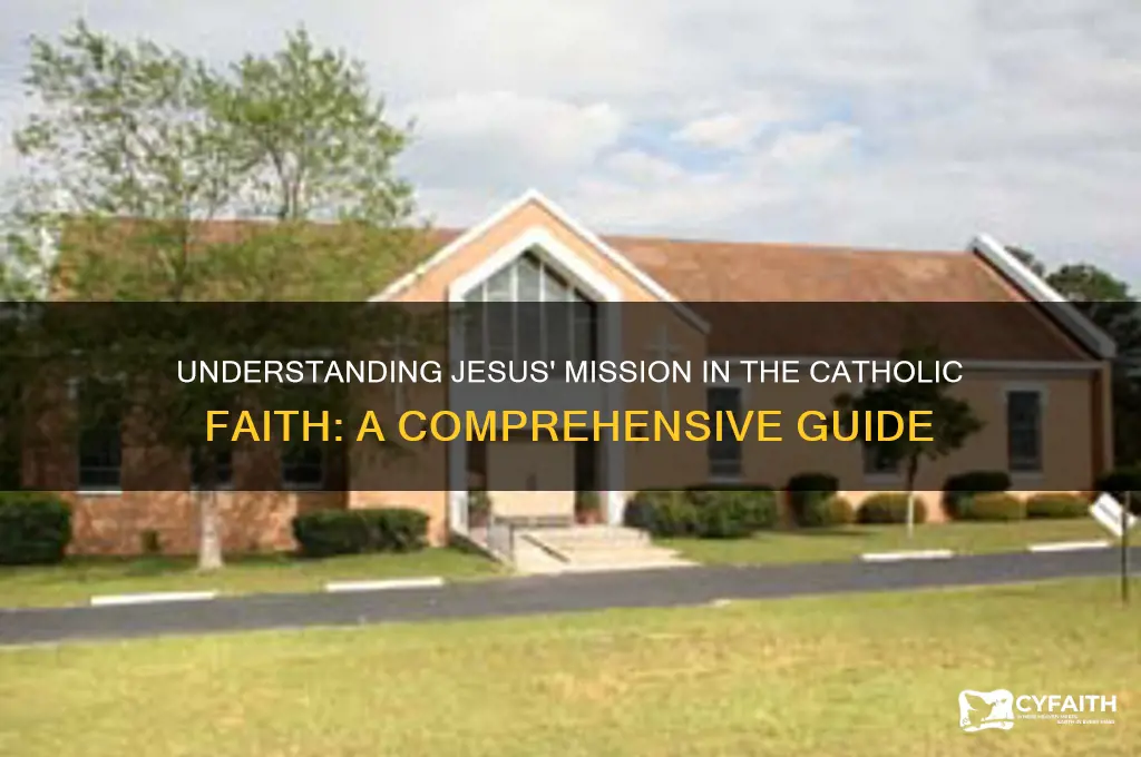 what is jesus mission catholic