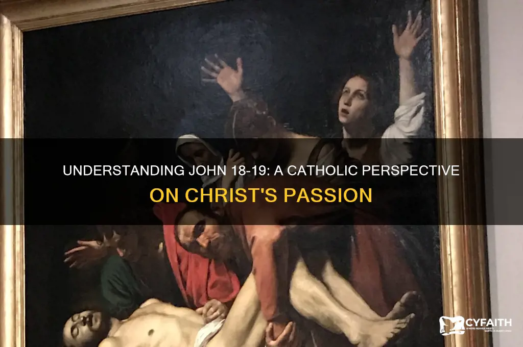 what is john 18 and 19 summary catholic