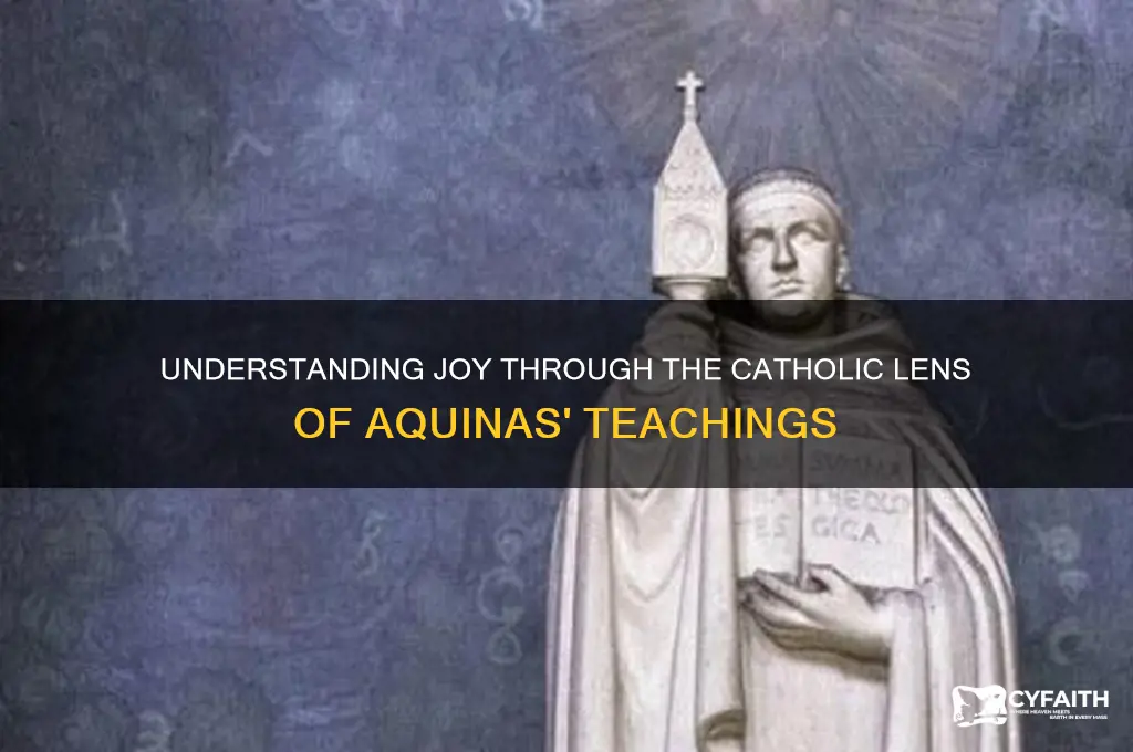 what is joy catholic aquinas