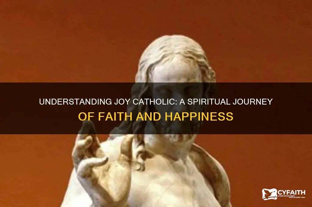 what is joy catholic