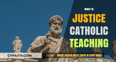 Catholic Social Teaching: Understanding Justice Through Faith and Action