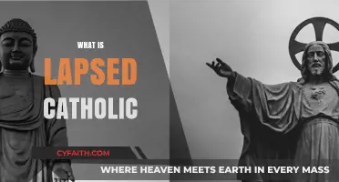 Understanding Lapsed Catholics: Faith, Identity, and Personal Journeys