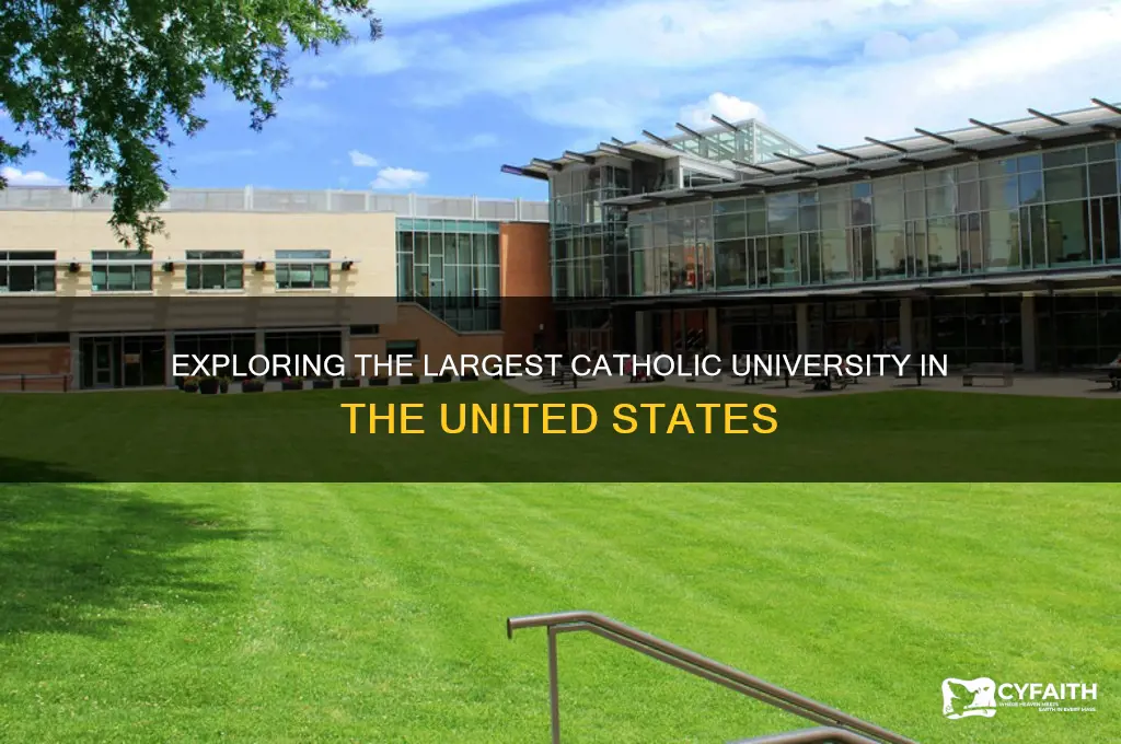 what is largest catholic univ in us