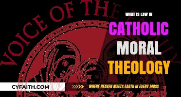 Understanding Law in Catholic Moral Theology: Principles and Applications