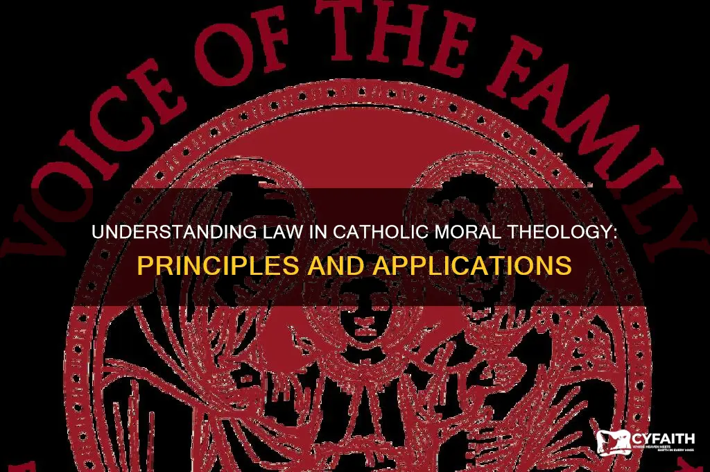what is law in catholic moral theology