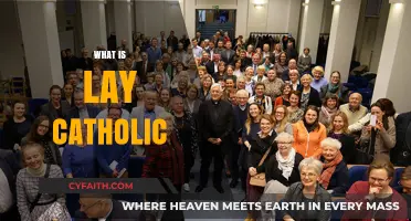 Understanding the Role and Identity of a Lay Catholic Today